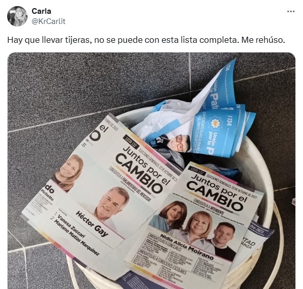 Gay comparte lista con una tuitera que defenestraba su gestión y estalló la interna libertaria en Bahía