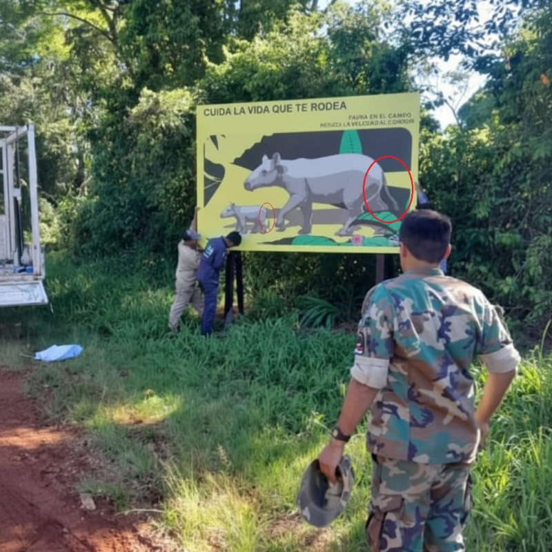 Passalacqua puso carteles para proteger a los tapires pero los dibujó con cola y sin trompa Passalacqua puso carteles para proteger a los tapires pero los dibujó con cola y sin trompa