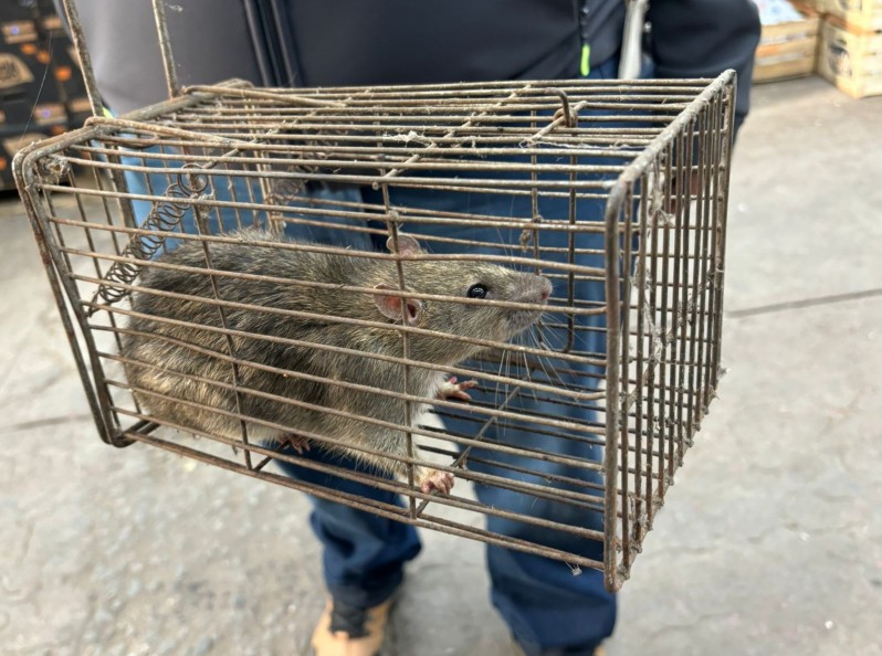 Denuncian que Miguelez pagó 180 millones en horas extras en el Mercado Central sin autorización del directorio Denuncian que Miguelez pagó 180 millones en horas extras en el Mercado Central sin autorización del directorio