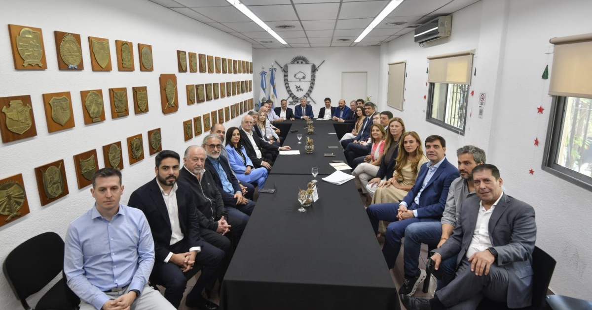 Gobernadores peronistas se unen para enfrentar a Milei en el Congreso
