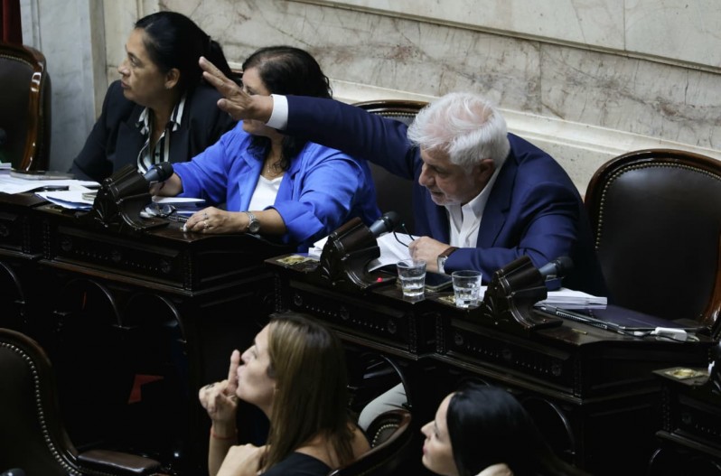 Sin embargo, Siley aclaró que no señalaba a "los tucumanos, misioneros, catamarqueños o salteños de La Libertad Avanza". "Porque eso es honestidad intelectual, ustedes quieren castigar al trabajador y la trabajadora argentinos, pero los peronistas tienen un mandato", dijo con énfasis. Justo en ese momento, una de las diputadas libertarias completó la frase ante la pausa de Siley y gritó: "¡Chorear!"¿Cómo le van a explicar al pueblo que tuvo a Martín Miguel de Güemes en Salta la traición que hicieron los salteños que vinieron a dar quórum? La legisladora kirchnerista recogió la provocación y exclamó: "¡los que chorean son los peronistas que a vos te gustan, no los que estamos en este bloque!". "Los que a vos te gustan son los que se sentaron en el medio y te dieron quórum", precisó, y agregó con rabia: ¡Esos son los chorros, esos son los que ustedes compran!". Siley aprovechó su discurso para advertir, además, que bajo la reforma laboral se escamotea una reforma tributaria, una previsional y una financiera, razón por la cual volvió a objetar el fondo de indemnizaciones. "A esta ley también la está atravesando la Banelco pero lo lamentable del paso del tiempo es que esa Banelco hoy es a la luz del día, porque son las cajas de las provincias", concluyó.