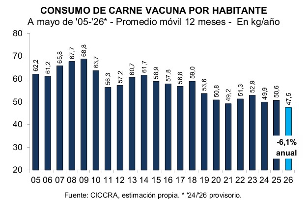 El consumo de carne se hunde y es el más bajo en más de 20 años El consumo de carne se hunde y es el más bajo en más de 20 años