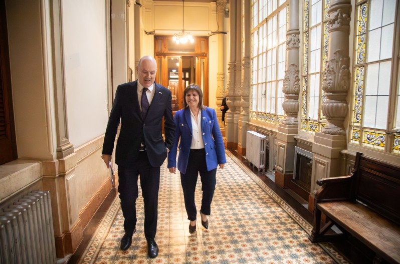 Sturzenegger y Bullrich, en el Senado.