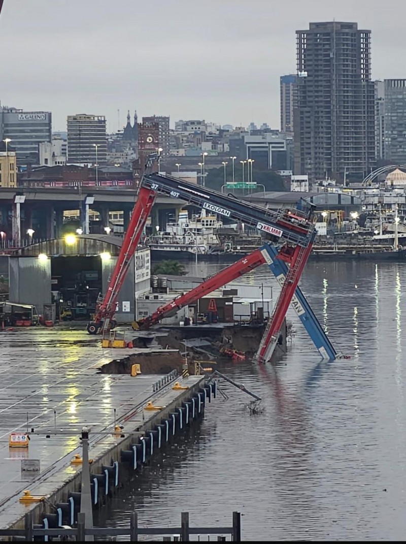 Se derrumbó una grúa de Exolgan y complica la operación del puerto de Dock Sud