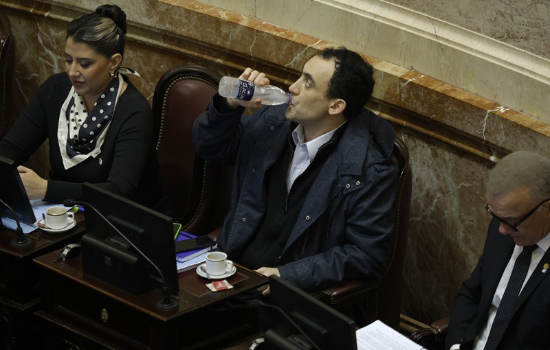 Insultos contra Benegas Lynch y reproches a Bullrich en el chat de los aliados