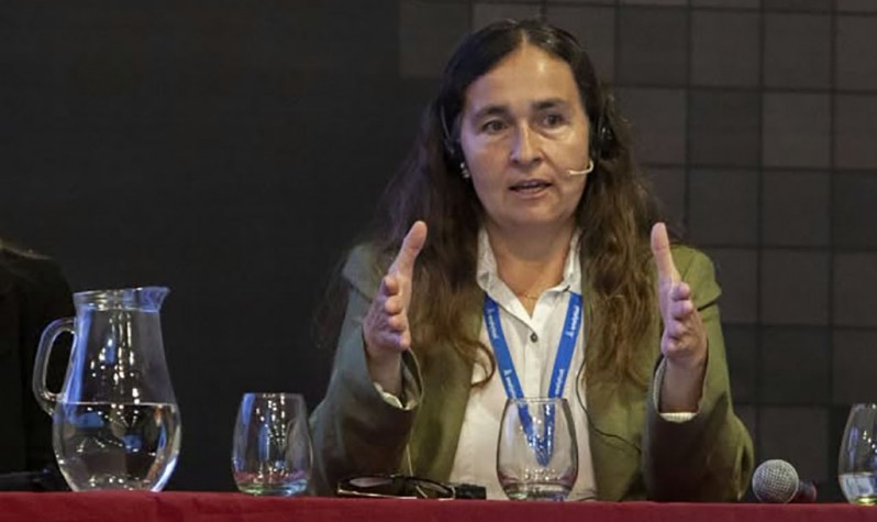 La investigadora del INTA Virginia Aparicio.