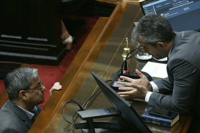 Arrinconado, Menem acepta cambios en Discapacidad y podría sumar los votos del peronismo